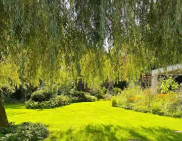 Tuinrenovatie gerealiseerd in regio Breda