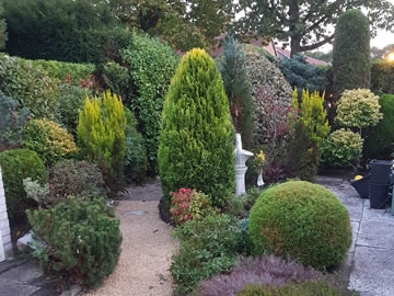 Tuinonderhoud in de herfst